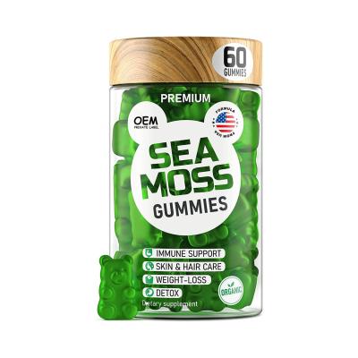 China Vegan Immune Sea Moss Gummies With Black Seed Oil and Apple Cider Vinegar for Diet and Energy Boost for sale