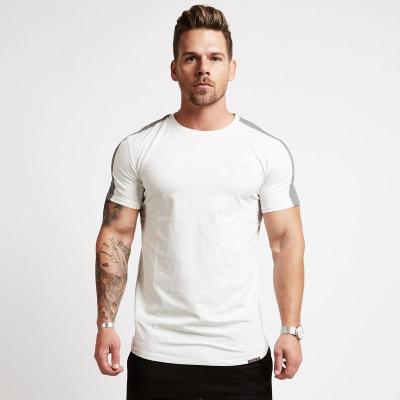 China ALPHALETE Shirts Fashion Summer New Men Gyms Viable Bodybuilding T-shirt Fitness Leisure Slim Shorts Sleeved Cotton Tee Tops for sale