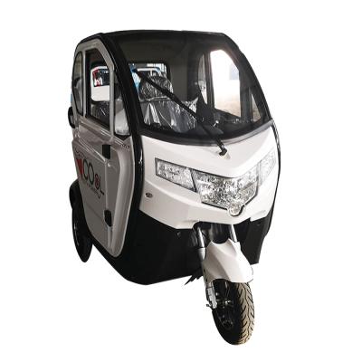 China 2020 Hot Sale Passenger Use Three Wheel Adult Motorcycle Covered Electric Tricycle for sale