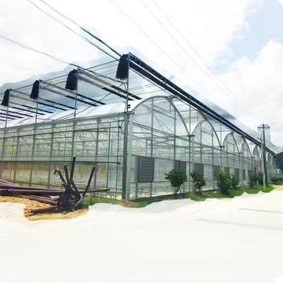 China Fruit Flower Vegetable Low Cost Galvanized Steel Frame Multi-Span Tunnel Greenhouse Plastic Sheet Fruit Vegetable Flower Plant Agricultural Greenhouse for sale