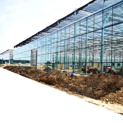 China Vegetable Fruits Flowers Projects Automated Multi Span Glass Greenhouse For Sale for sale