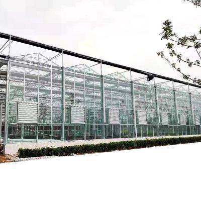 China Multi-span Vegetable Commercial Glass Hydroponics Glass Greenhouses Turnkey Project With One Stop Service For Tomato for sale