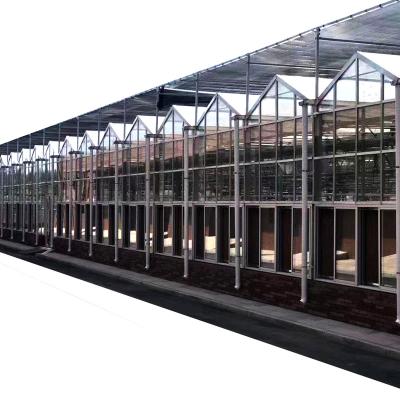 China Agricultural Flowers Vegetable Hydroponics Fruit Green House Glass Greenhouse For Tomato Growing for sale