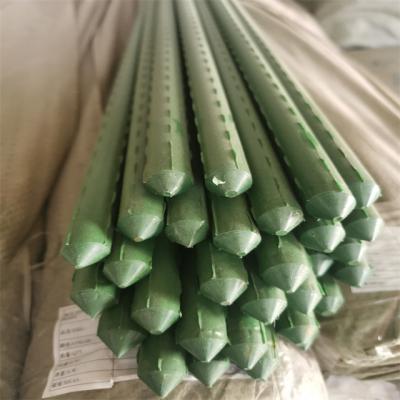 China Matel+PE Plastic Coated Steel Greenhouse Plant Garden Stake Support For Climbing for sale