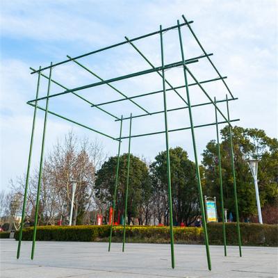 China Matel+PE Plastic Coated Greenhouse Plant Garden Stake Support Stakes Steel Grape Poles for sale