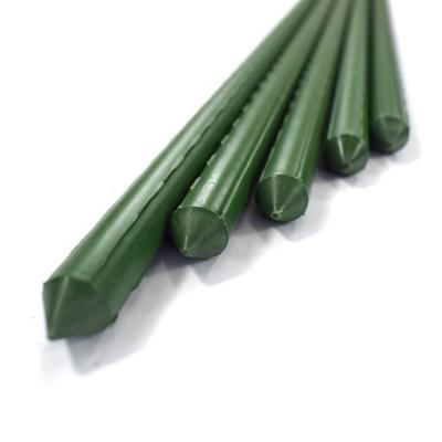 China Heavy Duty Matel+PE Garden Support Stick Indoor Plant Support Stakes For Garden Plastic Plant Climbing Support for sale