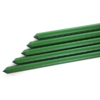 China Matel+PE pe coated metal garden stakes plastic steel stakes for greenhouse circles for sale