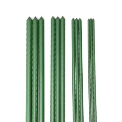 China Matel+PE Plastic Coated Steel Tomato Cage Support Stake For Garden Greenhouse for sale