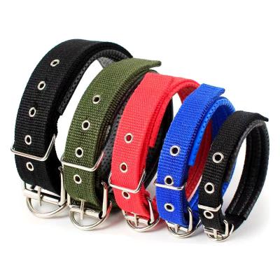 China Hot Sale GP070 Viable Pet Supplies Bubble Resistant Multi Color Webbing PP Buckle Pet Collar Adjustable Dog Collar for sale