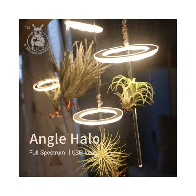 China Seed Starting Angel Three Rings Grow Light Dc5v Usb Phytolamp Led Full Spectrum Lamp For Home Flower Indoor Plant Seedlings Succulet for sale