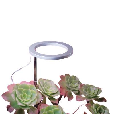 China Seed Starting Lamp Home Ring Led Grow Light Indoor Plant Wholesale Seedling Blossom Flower for sale