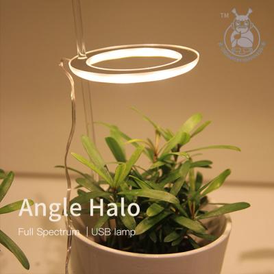 China Seed Starting Single Ring Light Bedside Table Plant Growth LED Plant Growth Light Ring Light for sale