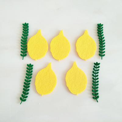 China 2020 Kid's Game Fun Toy Custom Design Eco Friendly Felt Baby Education Toys Felt Leaves Flowers Lemon Fruit For Kids for sale