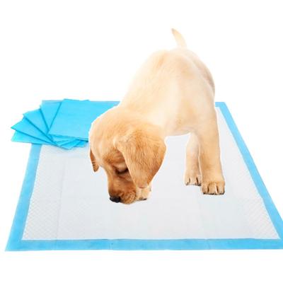 China 60X 90cminconvenient under pad hospital use Disposable Bed Pads dog underpads en venta