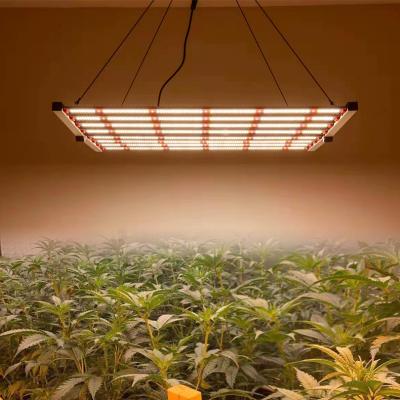 China Seed Starting Led To Grow Light 850W 800W Full Spectrum Spider 2093 umol/(m2/s) Grow Light for sale