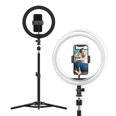 China Desk ring light with 360 degree rotation 10 inch ring light lamp F-531B1 for sale