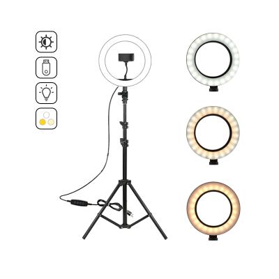 China 10 inch 10W Dimmable LED Ring Light Kit with 160cm Tripod Stand F-531C1 for sale