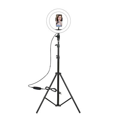 China Fitted 210cm Bracket 10 Inch Ring Light For Make Up Live Broadcast F-531F1 for sale