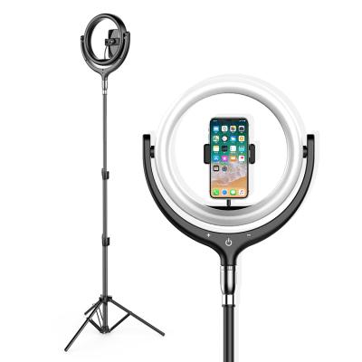 China Photography Fill Light 12 Inch 3300-6000k LED Ring Light With Adjustable Stand 63*41*6.2cm for sale