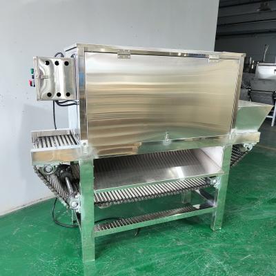 China Gewerbliche professionelle Knoblauchhaut Trockenpeeling Maschinen Peeler Automatische Knoblauchpeeler zum Verkauf zu verkaufen