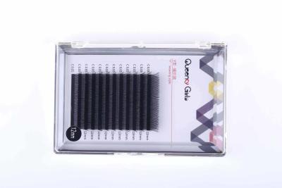 Chine Y forment le volume Lash Extensions, prolongements noirs naturels de cil de 12mm à vendre