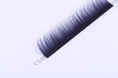 Chine classique Lash Extensions, 3D Lash Extensions simple de 0.05mm à vendre