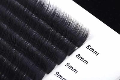 Chine Boucle fausse individuelle de Lash Extensions B de classique de 0.2mm à vendre