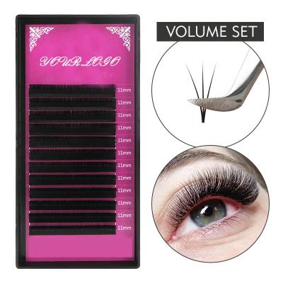 China 8D volumen Lash Extensions en venta