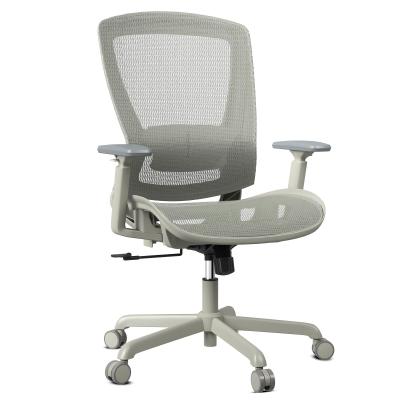 China Adjustable Lumbar Support Armrests Mesh Office Chair Sturdy Task Chair with Solid Back for sale