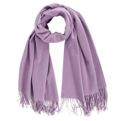 China New Style Color Cashmere Winter Simple Feeling Soft Soft Scarf Pashmina Scarf Ladies Scarves Shawls for sale