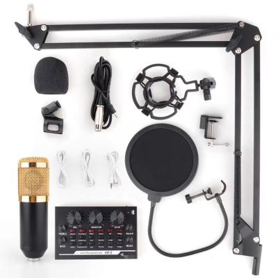 China Professional Handheld Bm800 Condenser Microphone Studio Microphone V8 Sound Card Arm Stand & Shock Mount & Arm Stand & Filter for sale