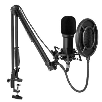 China Recording Microphone Durable And Efficient Microphone Podcast Microphone For Computer Recording Microphone for sale