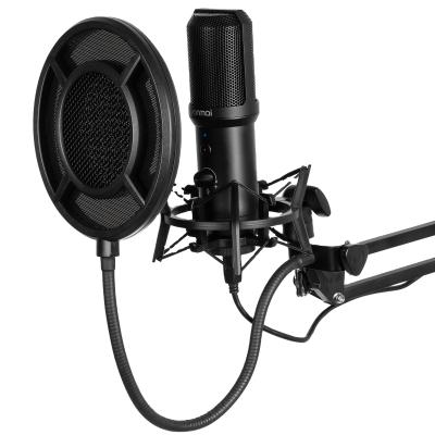 China Professional Microphone Recording Studio Condenser Microphone Recording Professional Recording Studio for sale