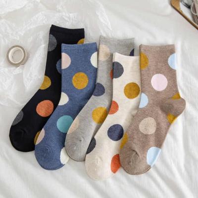 China Antibacterial Japanese Fashion Big Dots Pattern Assorted Color Breathable Cotton Jars Women for sale