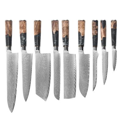 China Viable Maker 9Pcs Vg10 67 Layers Damascus Feather Pattern Knife Set Steel Chef Kitchen Knives Set With Resin Handle for sale