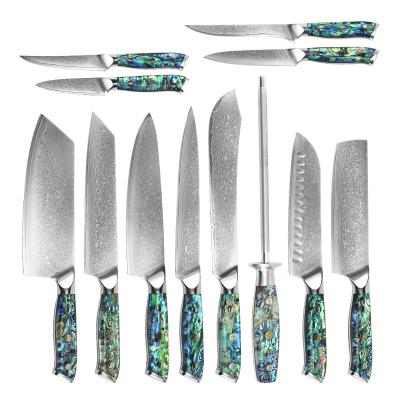 China Viable Professional 12Pcs Forged Chef's Set Damascus Kitchen Knives Resin Handle Steel Kitchen Knives For Kitchen for sale