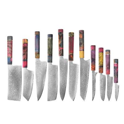 China Viable Professional Japanese 11Pcs 67 Layers Damascus Steel Chef Knife Kitchen Knives Set Set with Stabilized Wood Octagonal Handle for sale