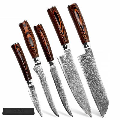 China Viable Professional 5Pcs Vg10 Damascus Steel Knife Damascus Steel Kitchen Knives In High Quality Chef Knife Set With Pakka Wood Handle for sale