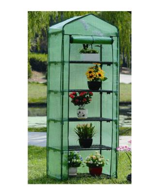 China Hot Selling Easily Assembled Amazon Garden 2022 Garden 5 Tier Mini Greenhouse With PE Cover for sale