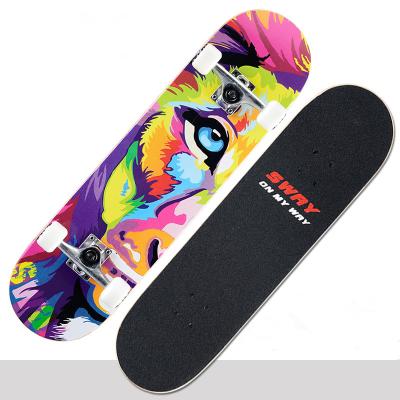 China New Professional High Quality Canadian Maple Deck Complete Skateboard for sale