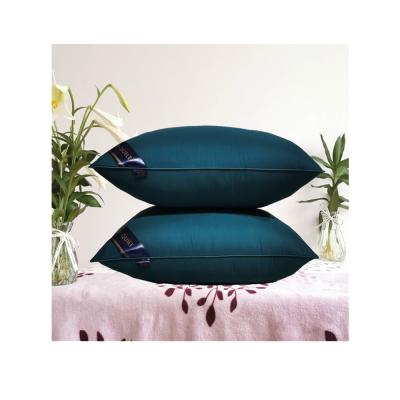 China Antistatic Colorful Soft Healthy Sleeping Microfiber Polyester 5 Star Hotels Pillows Hilton Pillows for sale