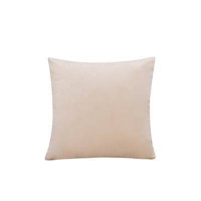 China Velvet Anti-Static Cushion Cover Solid Color Decorative Pillow Pane Shape for sale