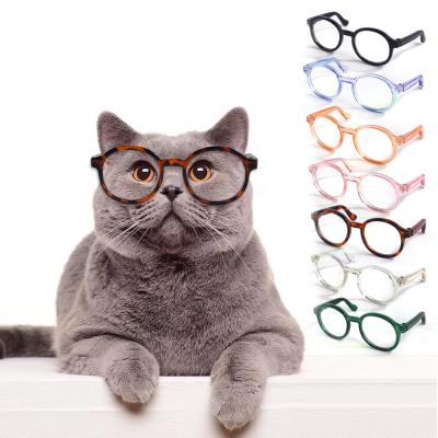 China Viable Plastic Clear Vintage Cat Glass Pet Glasses For Dogs Halloween Props for sale