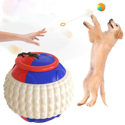 China Viable Interactive Dog Training Ball Pet Dog Chew Toy Indestructible Pet Dog Chew Toy for sale