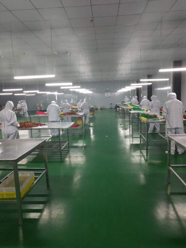 Verified China supplier - Qingdao Quanluna Food Co., Ltd.