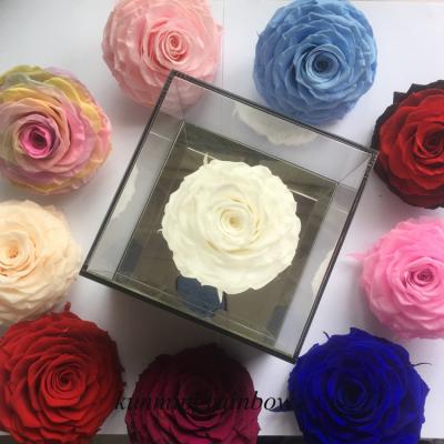 China Environmental Protection Green Clear Luxury Acrylic Preserved Rose Acrylic Boxes Square Magic Flowers Mirror Love Eternal Clear for sale