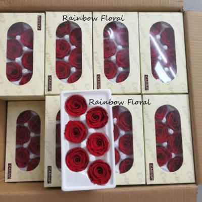 China contact wholesale real and natural preserved roses from kunming china for sale