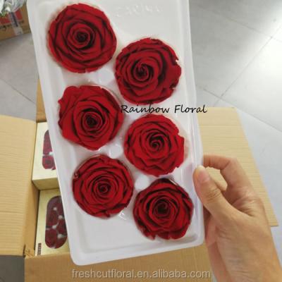 China Wholesale Real and Natural Touch Stabilized Flower Preserved Kunming Roses for sale