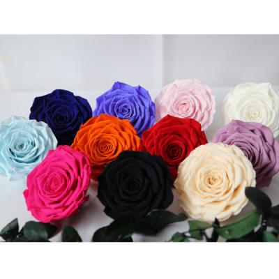 China Forever Popular Lowest Price 2-3cm Rose Orchid For Church With for sale