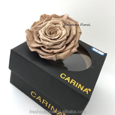 China Natural Wholesale Touch and Flower Fashion Big Size Giant Preserved Roses in Yunnan Alibaba for sale